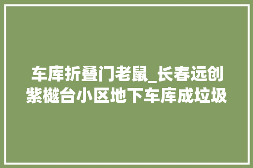 车库折叠门老鼠_长春远创紫樾台小区地下车库成垃圾堆老鼠钻进汽车咬断电线