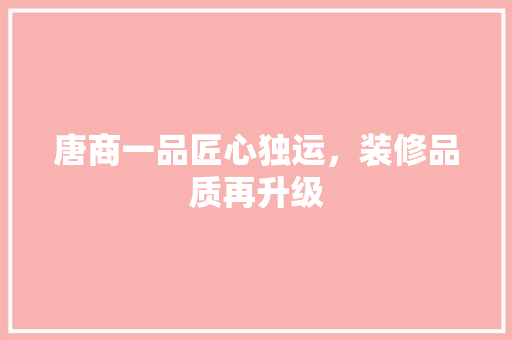 唐商一品匠心独运，装修品质再升级