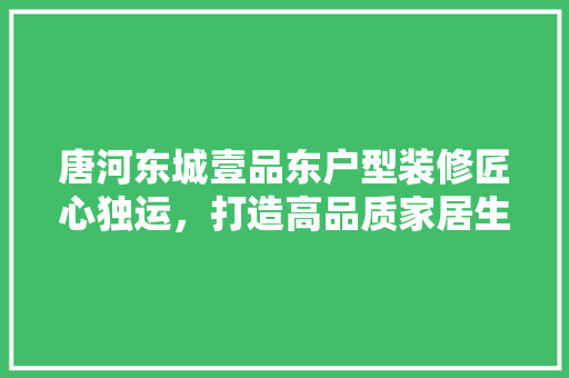 唐河东城壹品东户型装修匠心独运，打造高品质家居生活
