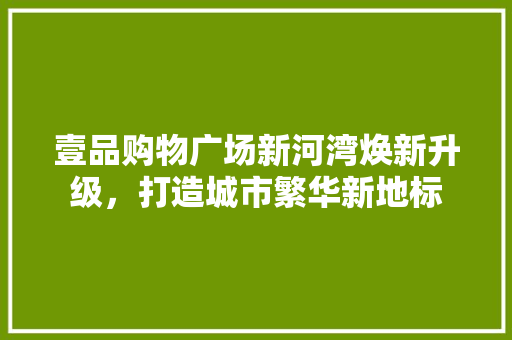 壹品购物广场新河湾焕新升级，打造城市繁华新地标