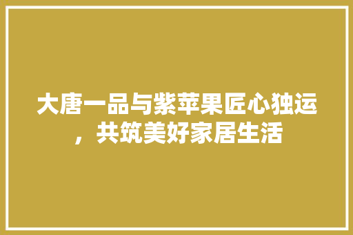 大唐一品与紫苹果匠心独运，共筑美好家居生活