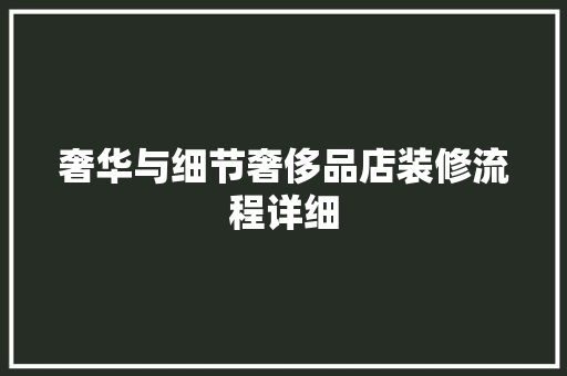 奢华与细节奢侈品店装修流程详细