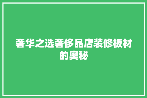 奢华之选奢侈品店装修板材的奥秘