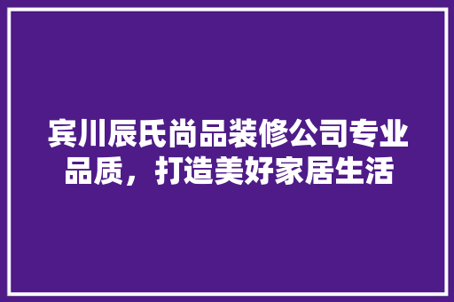 宾川辰氏尚品装修公司专业品质，打造美好家居生活