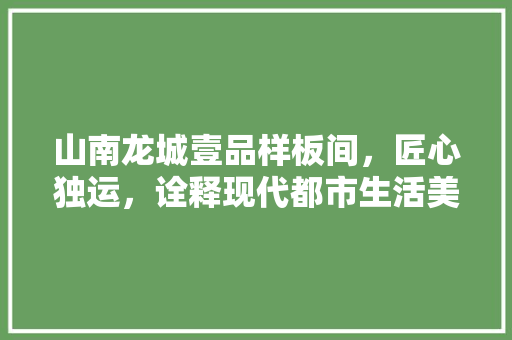 山南龙城壹品样板间，匠心独运，诠释现代都市生活美学