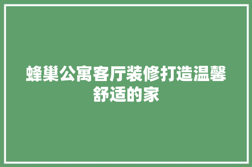蜂巢公寓客厅装修打造温馨舒适的家