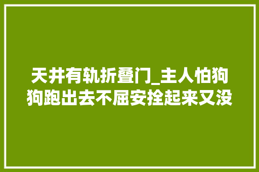 天井有轨折叠门_主人怕狗狗跑出去不屈安拴起来又没有自由决定做个有轨电狗
