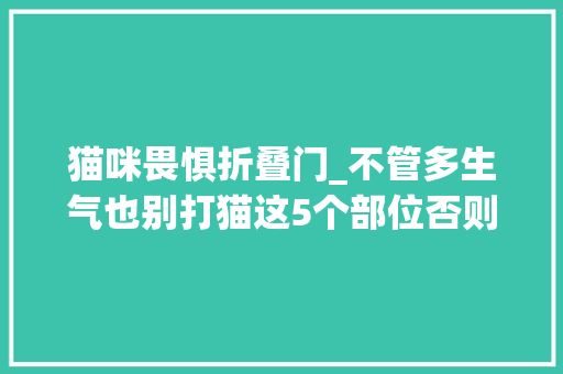猫咪畏惧折叠门_不管多生气也别打猫这5个部位否则后果严重