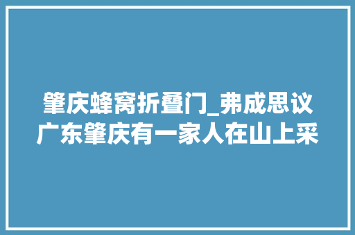 肇庆蜂窝折叠门_弗成思议广东肇庆有一家人在山上采了一个蜂巢