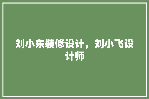 刘小东装修设计，刘小飞设计师