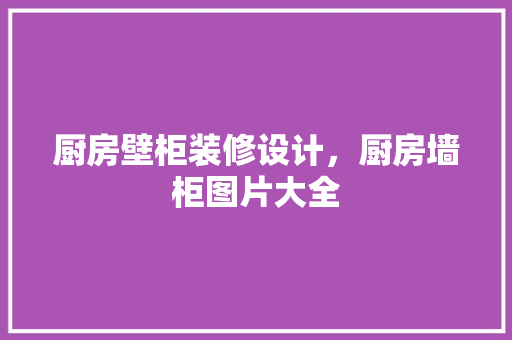 厨房壁柜装修设计，厨房墙柜图片大全