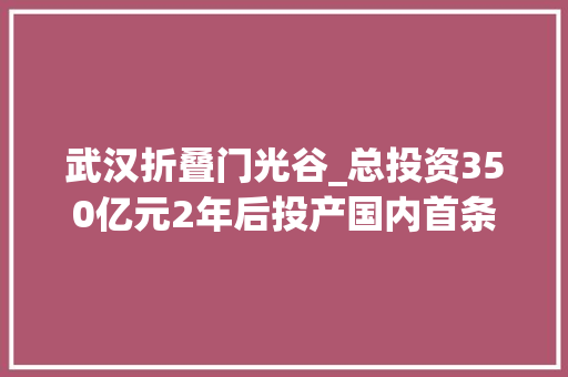 武汉折叠门光谷_总投资350亿元2年后投产国内首条折叠显示屏分娩线光谷动建