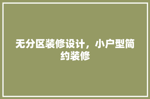 无分区装修设计，小户型简约装修
