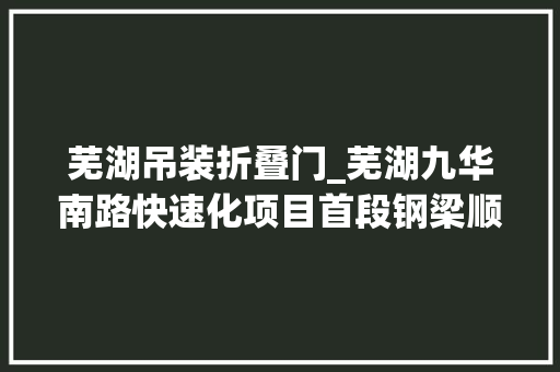 芜湖吊装折叠门_芜湖九华南路快速化项目首段钢梁顺利完成吊装