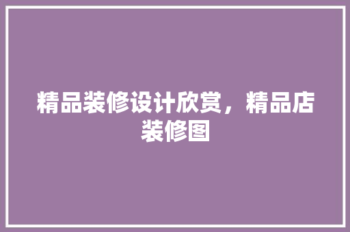 精品装修设计欣赏，精品店装修图