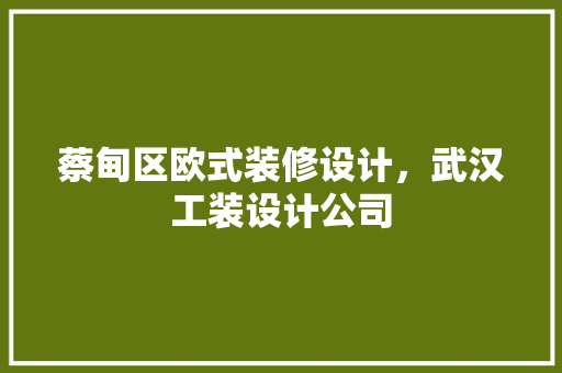 蔡甸区欧式装修设计，武汉工装设计公司