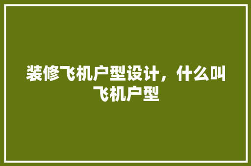 装修飞机户型设计，什么叫飞机户型