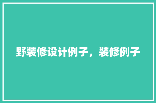 野装修设计例子，装修例子