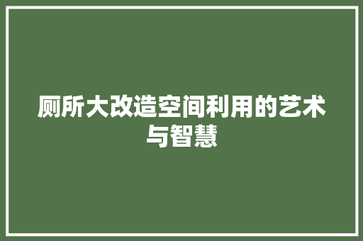 厕所大改造空间利用的艺术与智慧