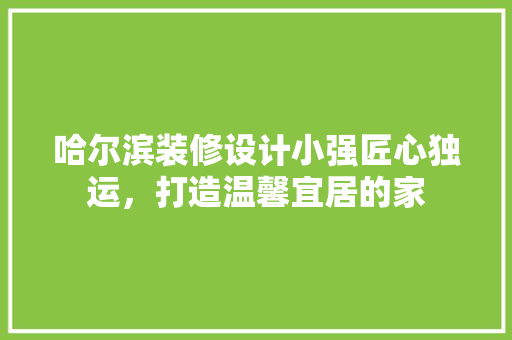 哈尔滨装修设计小强匠心独运，打造温馨宜居的家