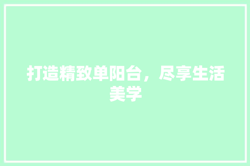 打造精致单阳台，尽享生活美学