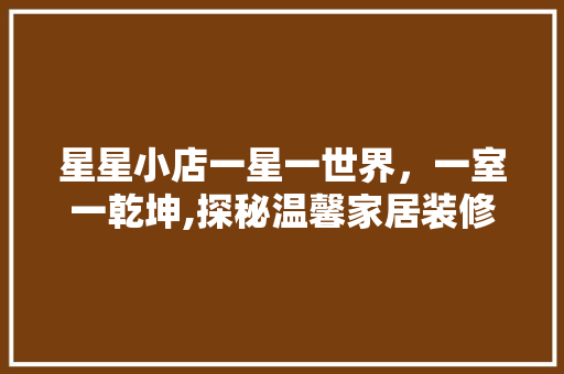 星星小店一星一世界，一室一乾坤,探秘温馨家居装修设计