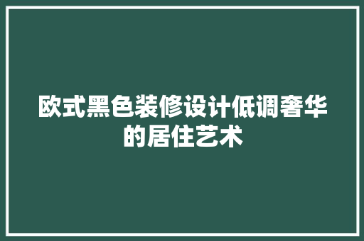 欧式黑色装修设计低调奢华的居住艺术