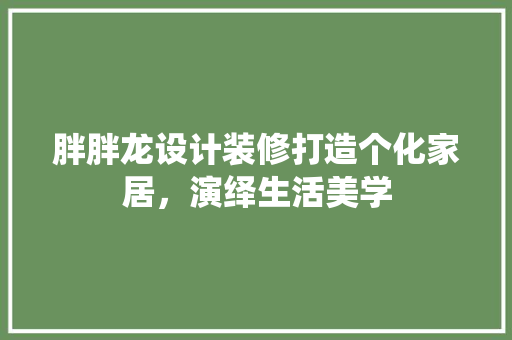 胖胖龙设计装修打造个化家居，演绎生活美学