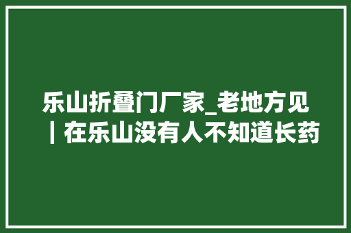 乐山折叠门厂家_老地方见｜在乐山没有人不知道长药好运油炸店