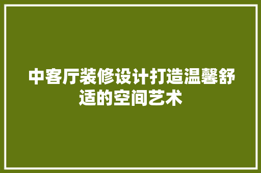 中客厅装修设计打造温馨舒适的空间艺术