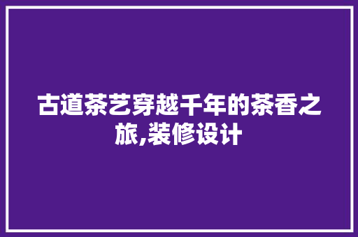 古道茶艺穿越千年的茶香之旅,装修设计