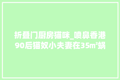 折叠门厨房猫咪_喷鼻香港90后猫奴小夫妻在35㎡蜗居里养十只猫狭长厨房当猫猫食堂