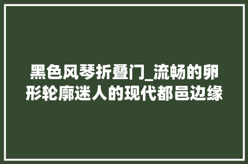 黑色风琴折叠门_流畅的卵形轮廓迷人的现代都邑边缘风琴滑动门实木家具系列