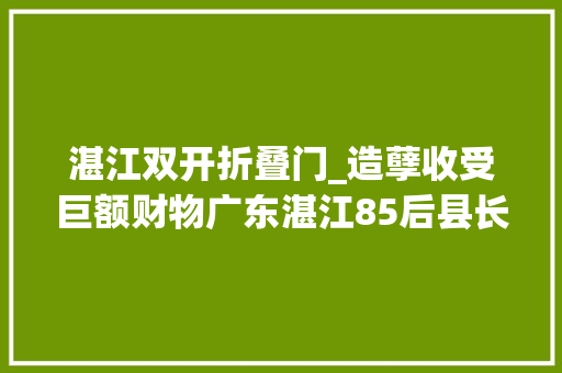 湛江双开折叠门_造孽收受巨额财物广东湛江85后县长被双开