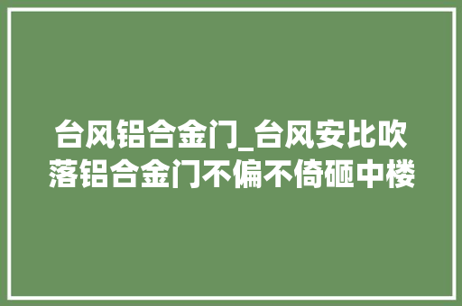 台风铝合金门_台风安比吹落铝合金门不偏不倚砸中楼下轿车