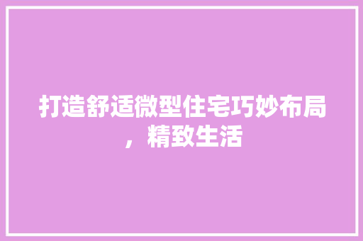 打造舒适微型住宅巧妙布局，精致生活