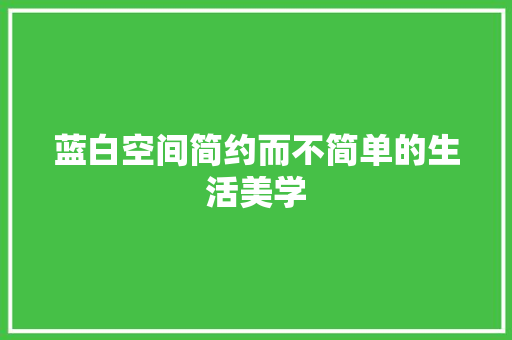 蓝白空间简约而不简单的生活美学