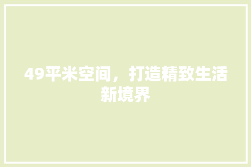 49平米空间，打造精致生活新境界