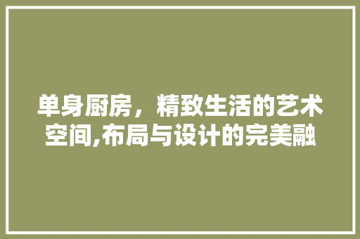 单身厨房，精致生活的艺术空间,布局与设计的完美融合