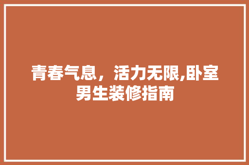 青春气息，活力无限,卧室男生装修指南