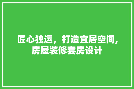 匠心独运，打造宜居空间,房屋装修套房设计