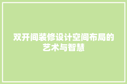 双开间装修设计空间布局的艺术与智慧