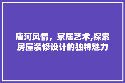 唐河风情，家居艺术,探索房屋装修设计的独特魅力