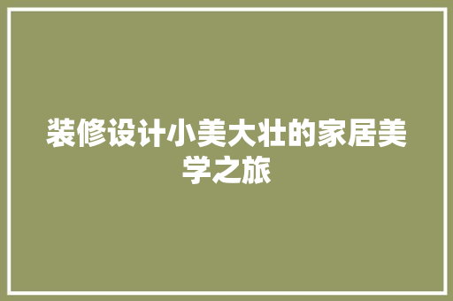 装修设计小美大壮的家居美学之旅