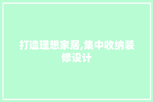 打造理想家居,集中收纳装修设计