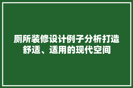 厕所装修设计例子分析打造舒适、适用的现代空间