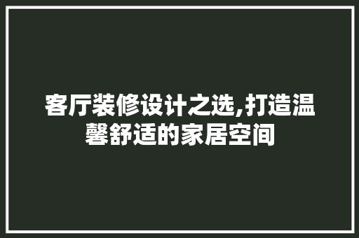 客厅装修设计之选,打造温馨舒适的家居空间