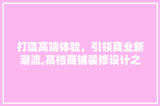 打造高端体验，引领商业新潮流,高档商铺装修设计之路