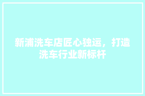 新浦洗车店匠心独运，打造洗车行业新标杆