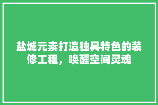 盐城元素打造独具特色的装修工程，唤醒空间灵魂